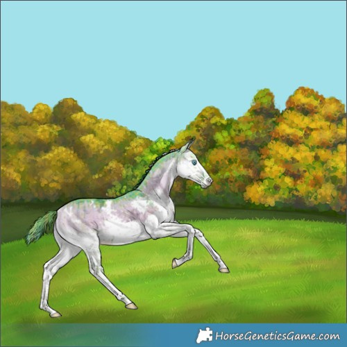 Horse Color:Watercolor Plaid  White Spotted Liver Red Dun Ice Onyx Splash Rabicano Brindle 