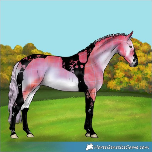 Horse Color:Void Watercolor Plaid  Chocolate Palomino Onyx Tobiano 