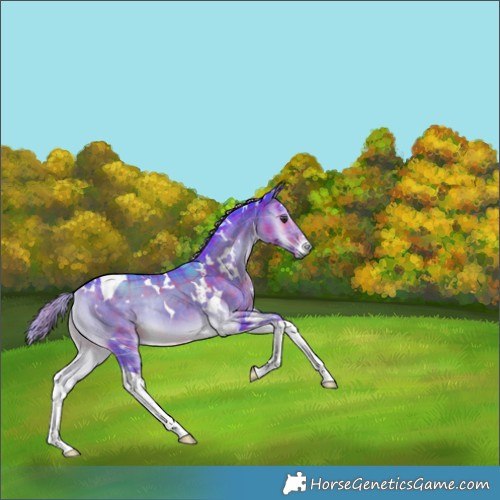 Horse Color:Watercolor Plaid  White Spotted Chocolate Palomino Onyx Tobiano 