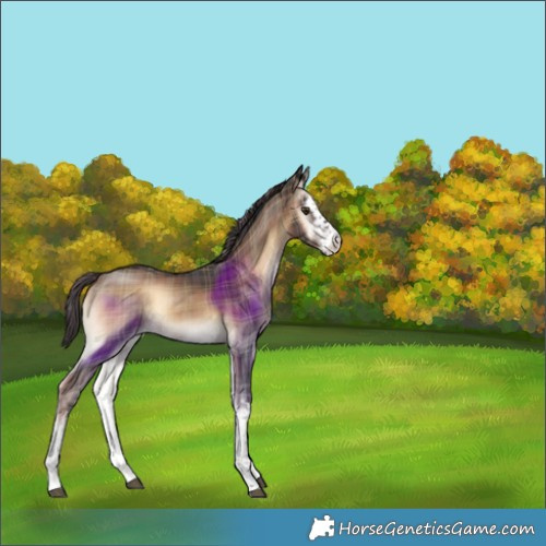 Horse Color:Plaid  White Spotted Liver Red Onyx 