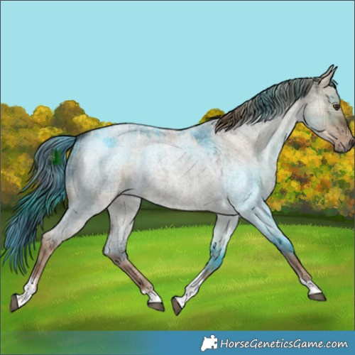 Horse Color:Plaid  Liver Red Dun Roan Tobiano Rabicano 