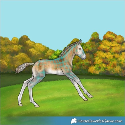 Horse Color:Plaid Chocolate Palomino Ice Onyx Tobiano