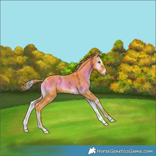 Horse Color:Watercolor Plaid Liver Red Onyx Ice Tobiano Brindle