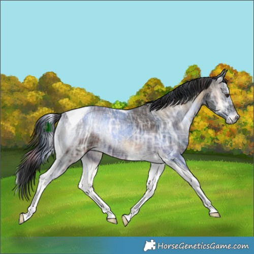 Horse Color:Plaid  Liver Red Onyx Ice Tobiano 