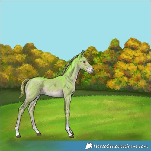 Horse Color:Watercolor Liver Red Dun Ice Tobiano Brindle 