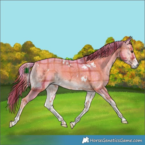 Horse Color:Watercolor Plaid  White Spotted Liver Red Onyx Ice Rabicano 