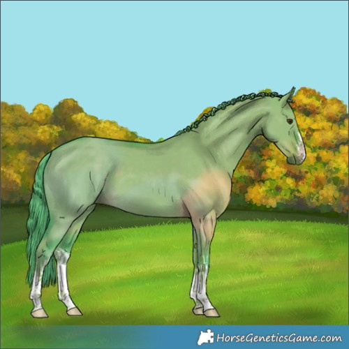 Horse Color:Watercolor White Spotted Liver Red Dun 