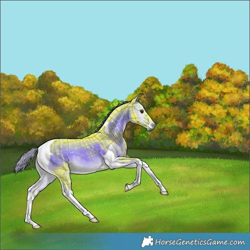 Horse Color:Watercolor Plaid  Liver Red Onyx Tobiano Rabicano 