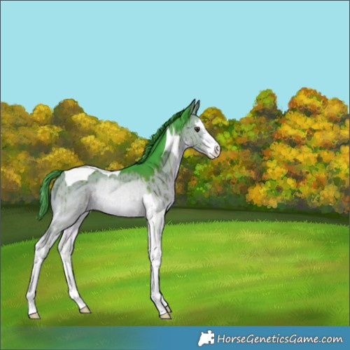 Horse Color:Watercolor White Spotted Liver Red Dun Tobiano Brindle 