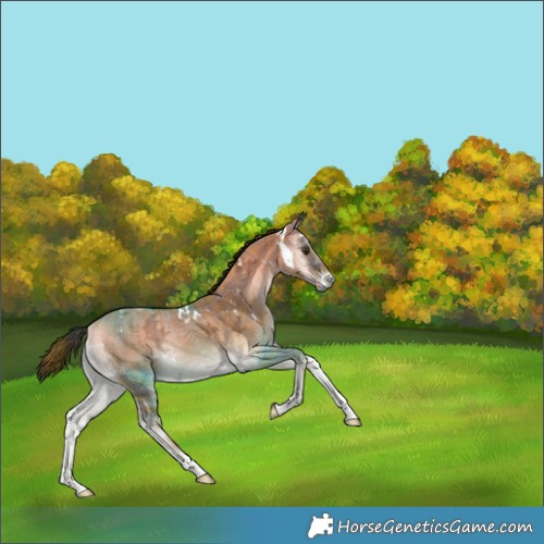 Horse Color:Plaid White Spotted Liver Red Dun Ice Onyx Tobiano Brindle