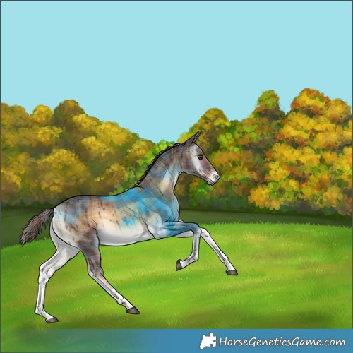 Horse Color:Plaid  Liver Red Onyx Tobiano Rabicano 