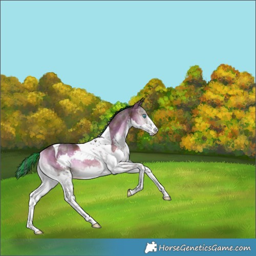Horse Color:Painted Plaid  Liver Red Onyx Splash Tobiano Brindle 