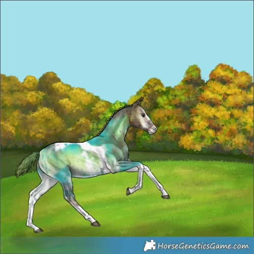 Horse Color:Plaid  Liver Red Onyx Sabino Tobiano 