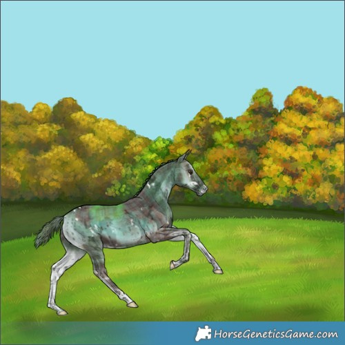 Horse Color:Plaid White Spotted Liver Red Onyx Ice