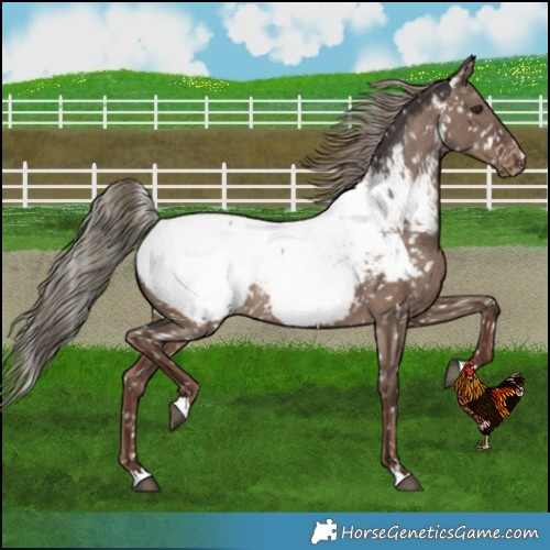Horse Color:Liver Red Dun Mushroom Snowcap
