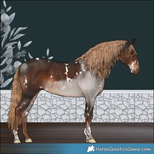 Horse Color:White Spotted Liver Chestnut Tobiano 