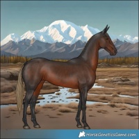 Horse Color:Liver Chestnut Rabicano 