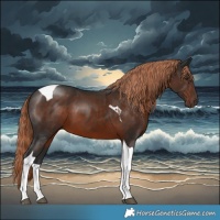 Horse Color:Liver Chestnut Tobiano 
