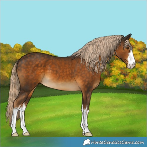 Horse Color:White Spotted Chocolate Palomino 