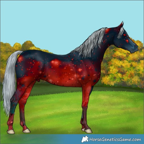 Horse Color:ERROR: UNKNOWN ANOMALY