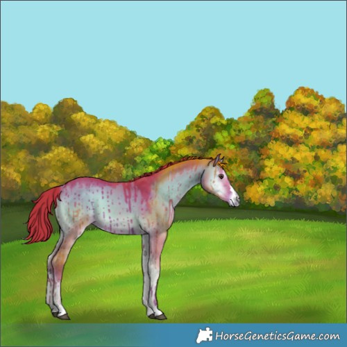 Horse Color:Watercolor Liver Red Dun Onyx Brindle