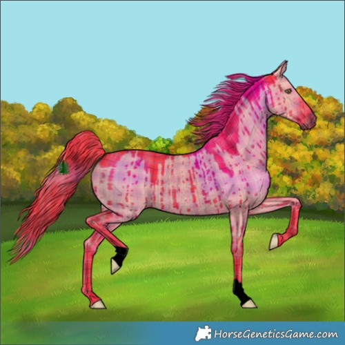 Horse Color:Void Watercolor Plaid  Liver Red Dun Rabicano Brindle 