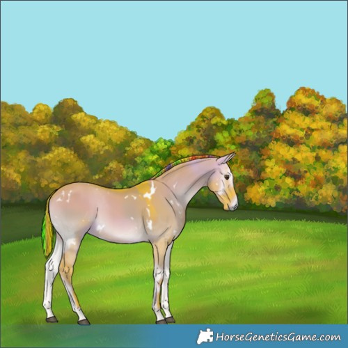 Horse Color:Painted Watercolor White Spotted Liver Red Dun Onyx 