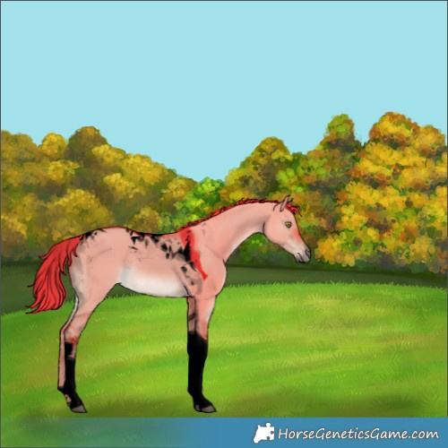 Horse Color:Void Watercolor Liver Red Dun Tobiano 