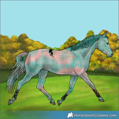Horse Color:Void Watercolor Plaid  Liver Red Dun Tobiano Brindle 