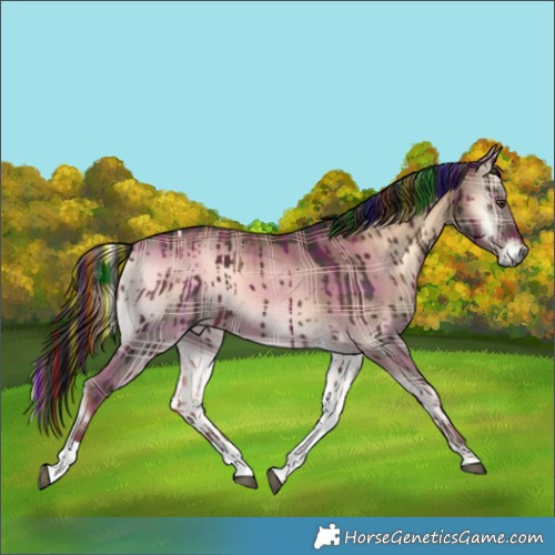 Horse Color:Painted Plaid Liver Red Dun Onyx Tobiano Brindle