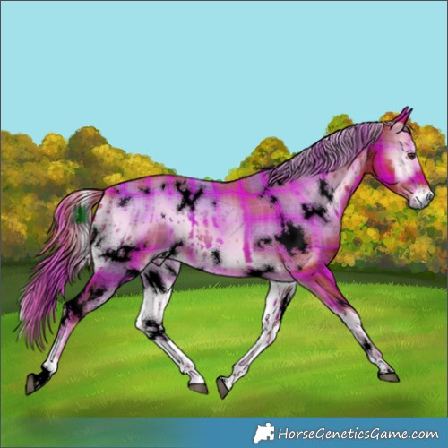 Horse Color:Void Watercolor Plaid White Spotted Liver Red Onyx