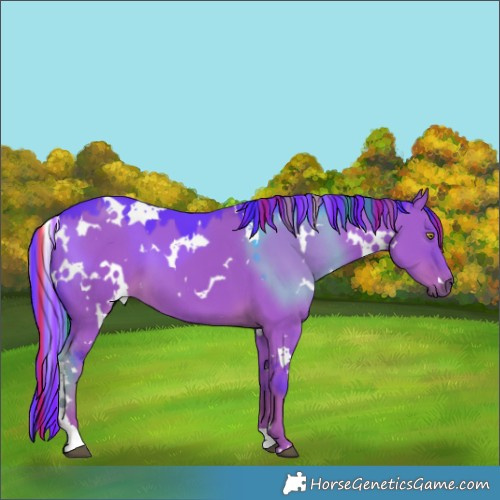 Horse Color:Painted Watercolor White Spotted Liver Red Dun 