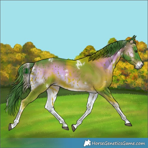Horse Color:Watercolor White Spotted Liver Red Onyx Tobiano 