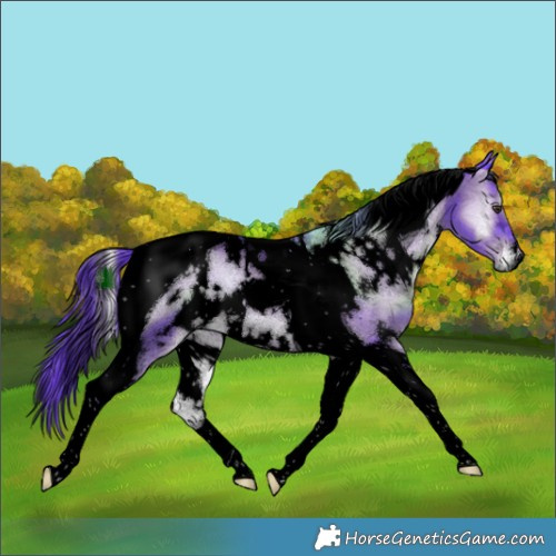 Horse Color:Void Watercolor White Spotted Liver Red Onyx Ice Tobiano