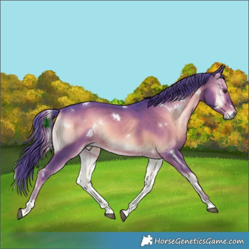 Horse Color:Watercolor White Spotted Liver Red Onyx