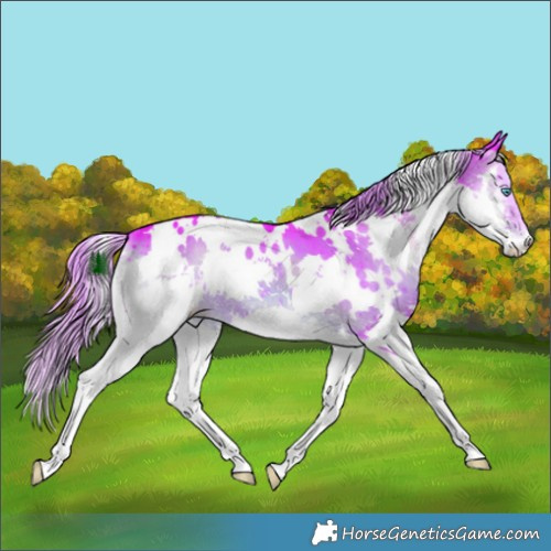 Horse Color:Watercolor White Spotted Liver Red Onyx Splash