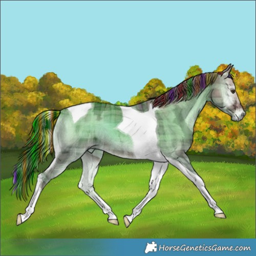 Horse Color:Painted Plaid  Liver Red Dun Ice Onyx Tobiano 