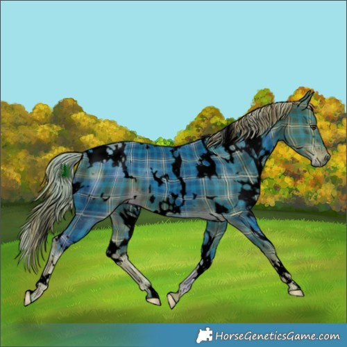 Horse Color:Void Watercolor Plaid  White Spotted Liver Chestnut 