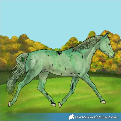 Horse Color:Void Watercolor White Spotted Liver Red Dun Ice Brindle 