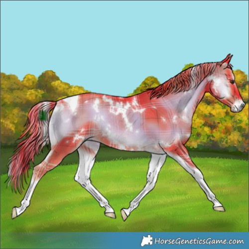 Horse Color:Watercolor Plaid  White Spotted Liver Red Onyx Tobiano Rabicano 