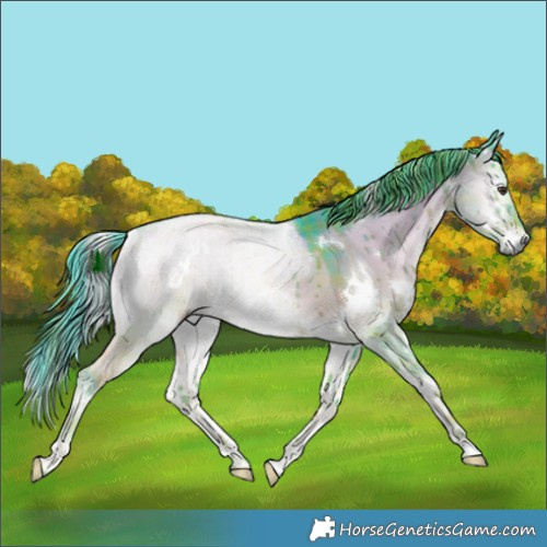 Horse Color:Watercolor Plaid White Spotted Liver Red Dun Onyx Brindle
