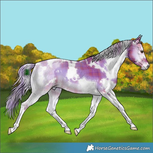 Horse Color:Watercolor Plaid  White Spotted Liver Red Onyx Tobiano 
