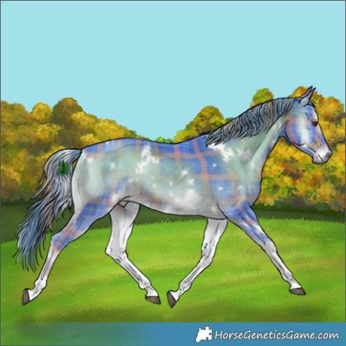 Horse Color:Watercolor Plaid  White Spotted Liver Red Onyx Tobiano 