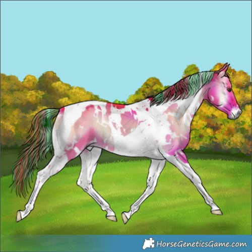 Horse Color:Painted Watercolor White Spotted Liver Red Dun Onyx Tobiano 