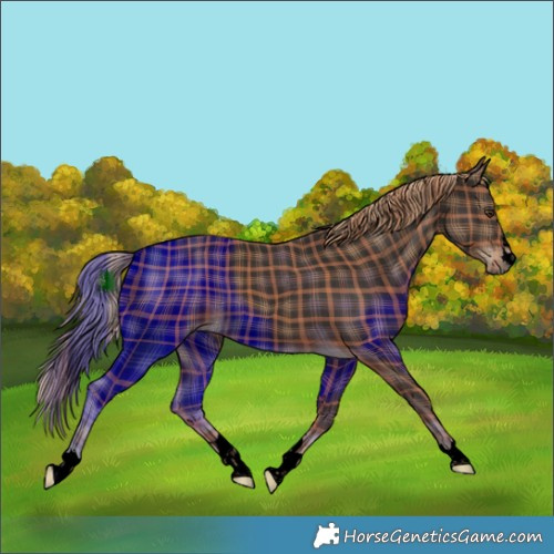 Horse Color:Void Plaid  Liver Chestnut Rabicano 