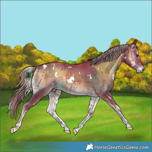 Horse Color:Watercolor White Spotted Liver Red Onyx 