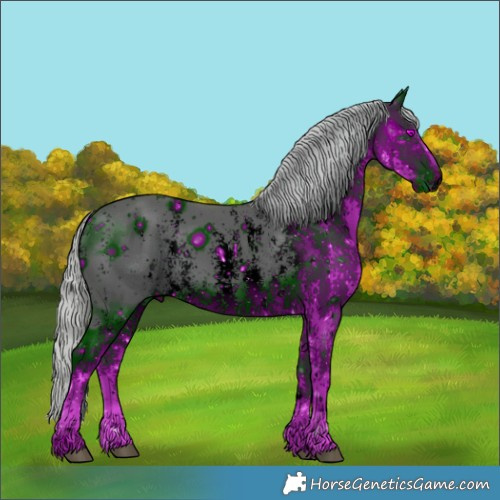 Horse Color:ERROR: UNKNOWN ANOMALY
