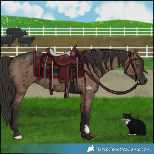 Horse Color:Liver Red Dun Brindle