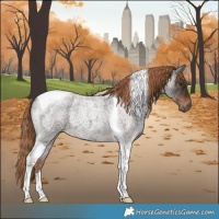 Horse Color:Liver Red Roan Tobiano 