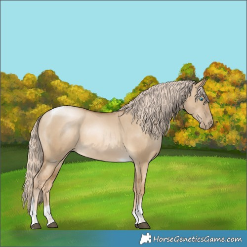 Horse Color:Chocolate Palomino Snowdrop Dun Tobiano 
